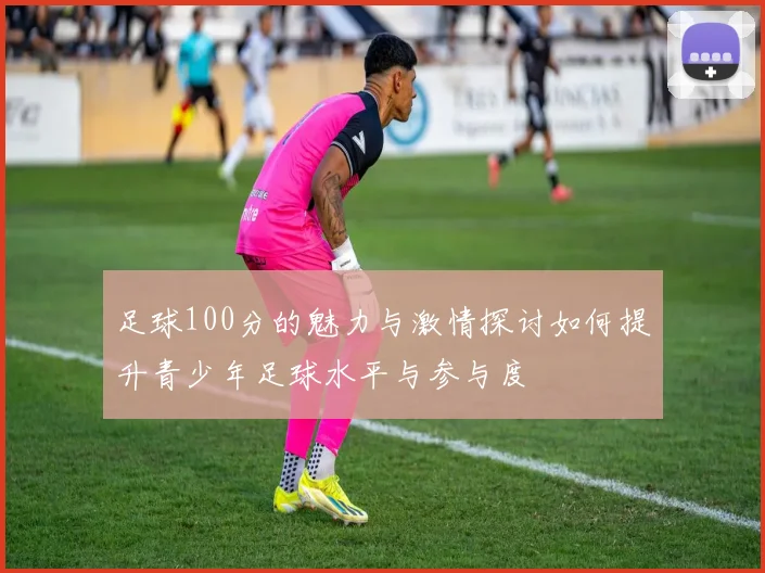 足球100分的魅力与激情探讨如何提升青少年足球水平与参与度
