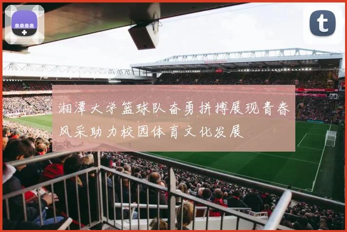 湘潭大学篮球队奋勇拼搏展现青春风采助力校园体育文化发展