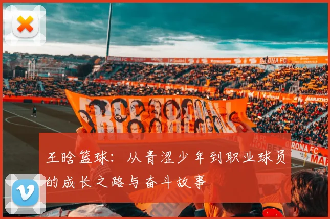 王晗篮球：从青涩少年到职业球员的成长之路与奋斗故事