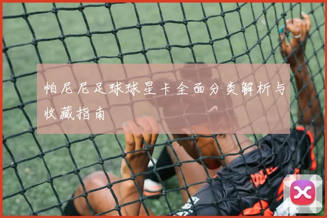 帕尼尼足球球星卡全面分类解析与收藏指南