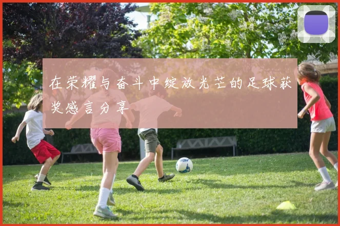 在荣耀与奋斗中绽放光芒的足球获奖感言分享